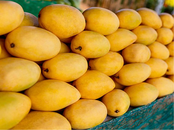 Pakistani mangoes